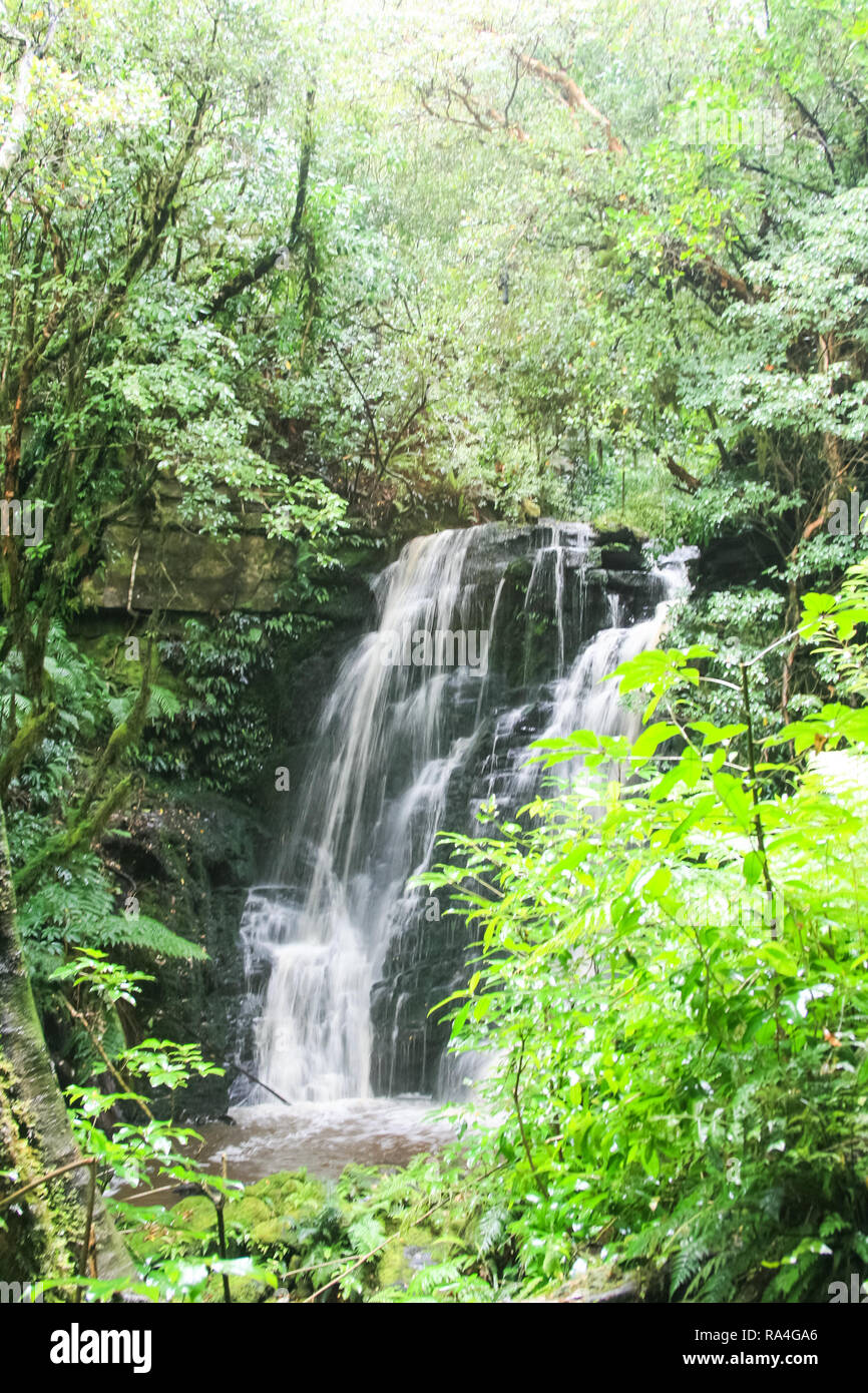 Waterfall on a mountain river. Landscapes of New Zealand Stock Photo ...