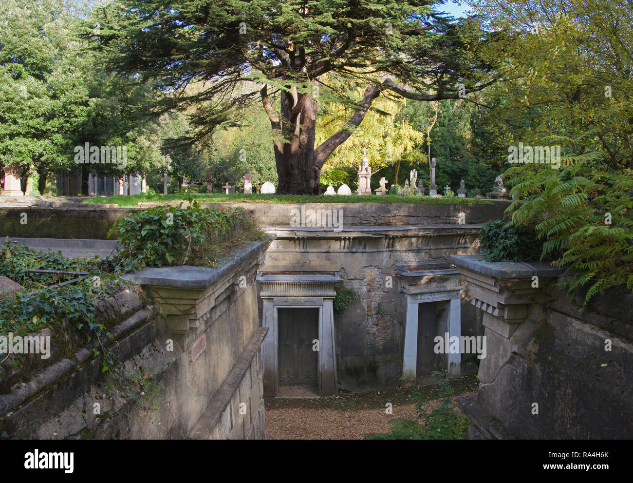 Circle of Lebanon West Highgate cemetery London England Stock Photo Alamy