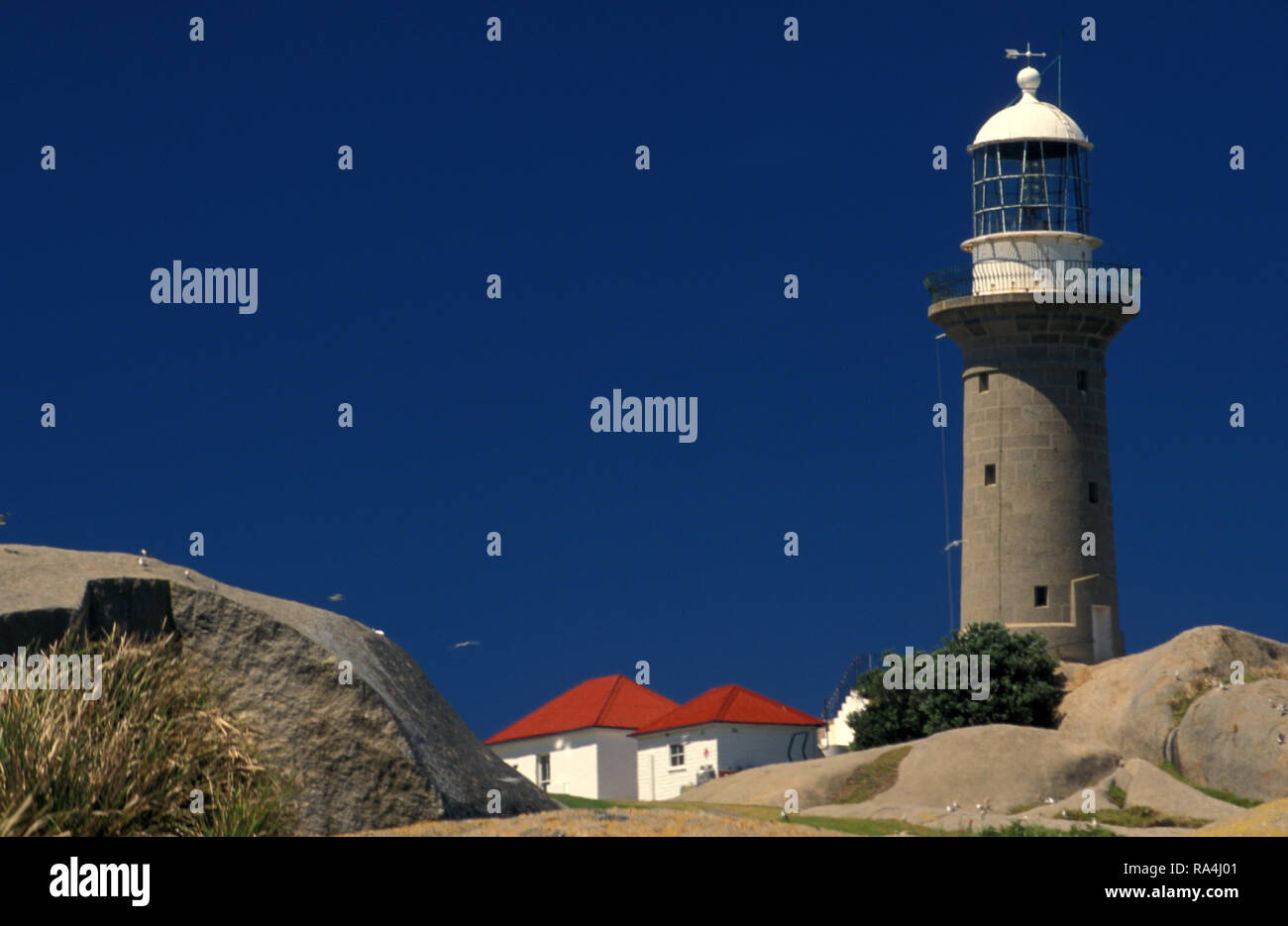 LIGHTHOUSE, MONTAGUE ISLAND NATURE RESERVE OFFSHORE FROM THE SOUTH COAST REGION OF NEW SOUTH WALES, AUSTRALIA Stock Photo