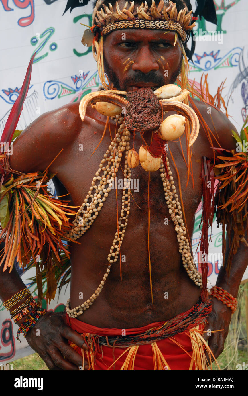 Colourfully dressed and face painted man wearing a neckless made from shells and hornbill beaks as part of a Sing Sing in Madang, Papua New Guinea. Stock Photo