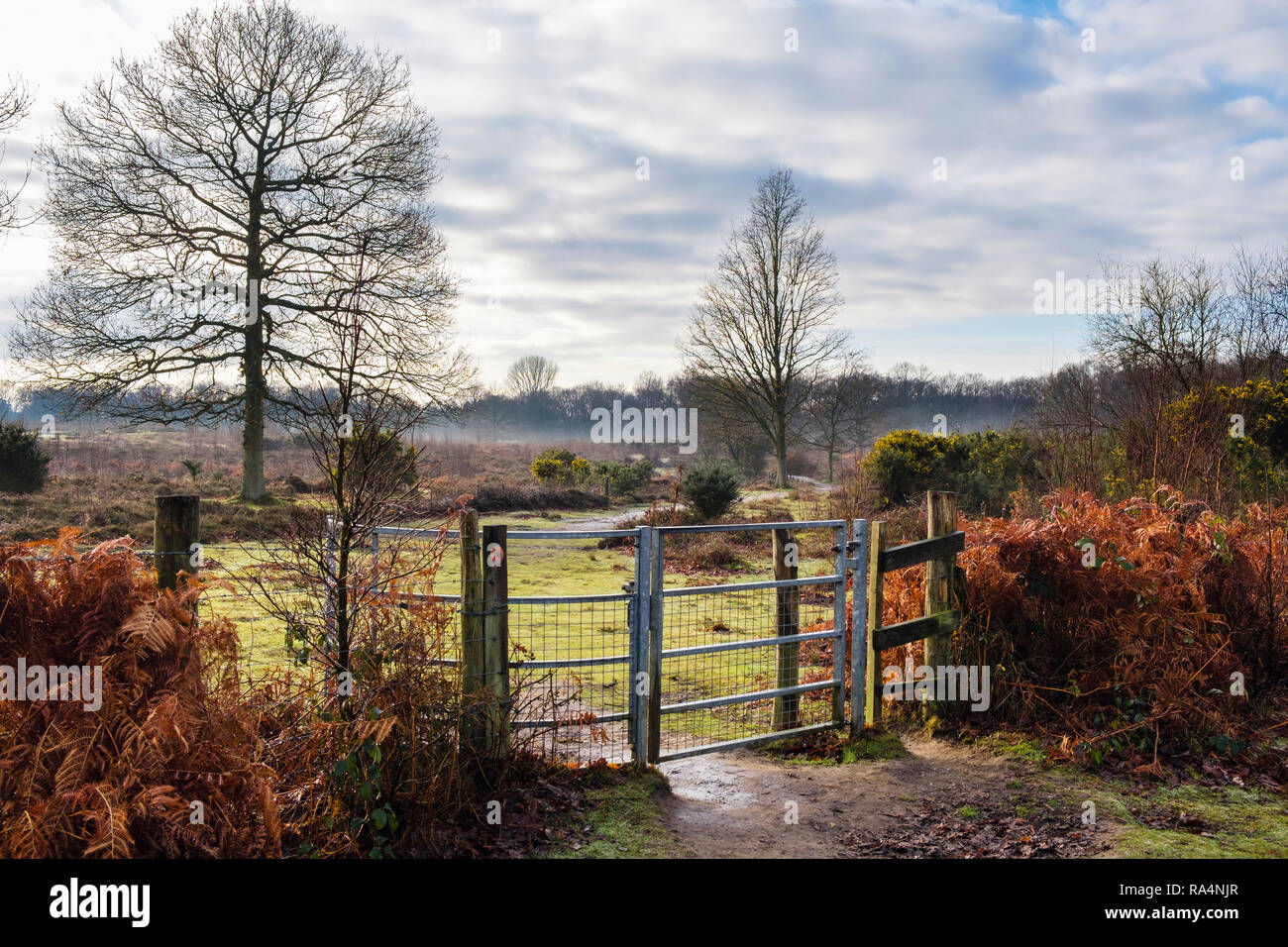 Gates on footpath through countryside in Kent Wildlife Trust nature reserve heathland in winter. Hothfield Heathlands, Ashford, Kent, England, UK Stock Photo