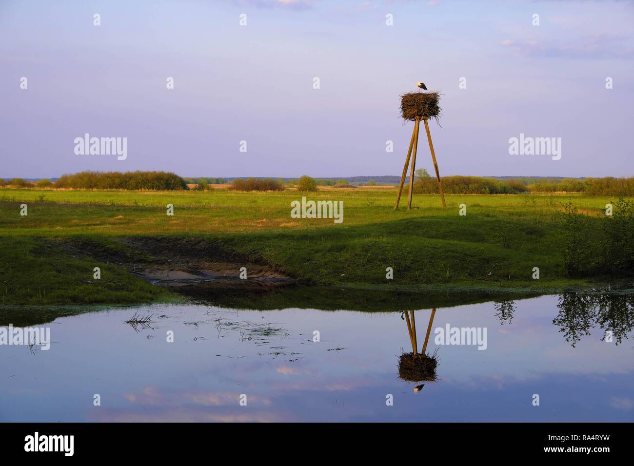 Storke Wetland