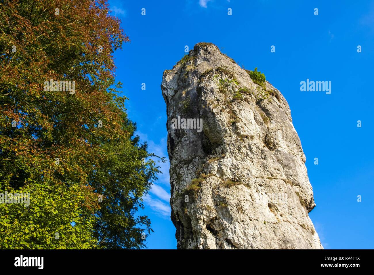 Bludgeon High Resolution Stock Photography And Images Alamy
