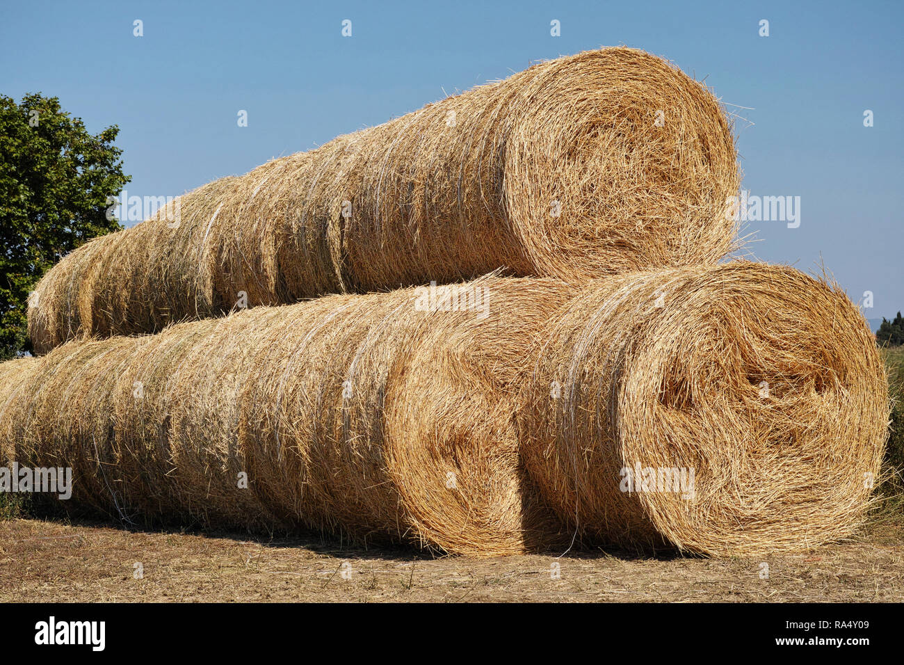 Rolls Of Hay Stock Photos & Rolls Of Hay Stock Images Alamy