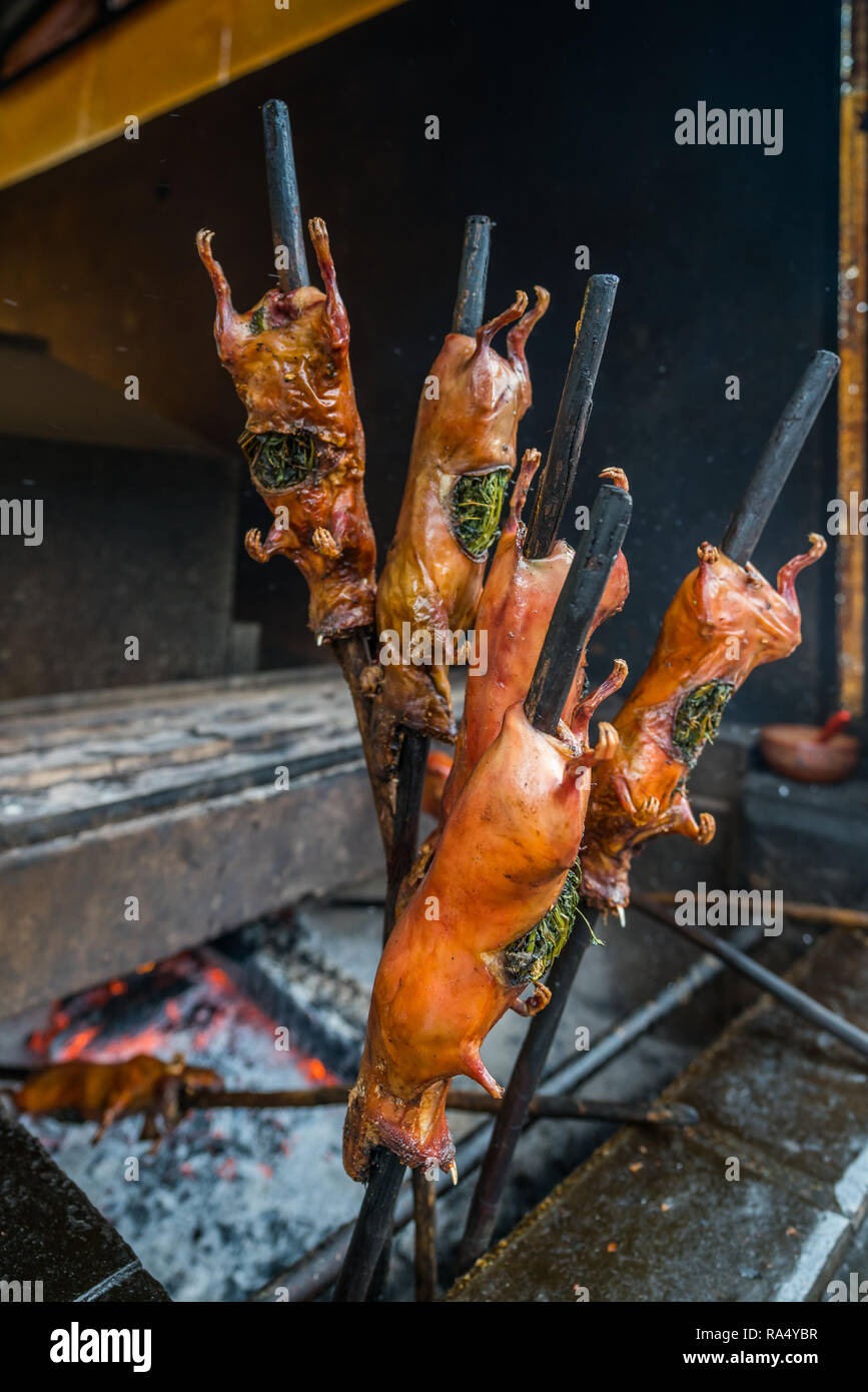 Skewered roasted guinea pigs, a Peruvian delicacy, at market alongside hot coals in a close up view Stock Photo