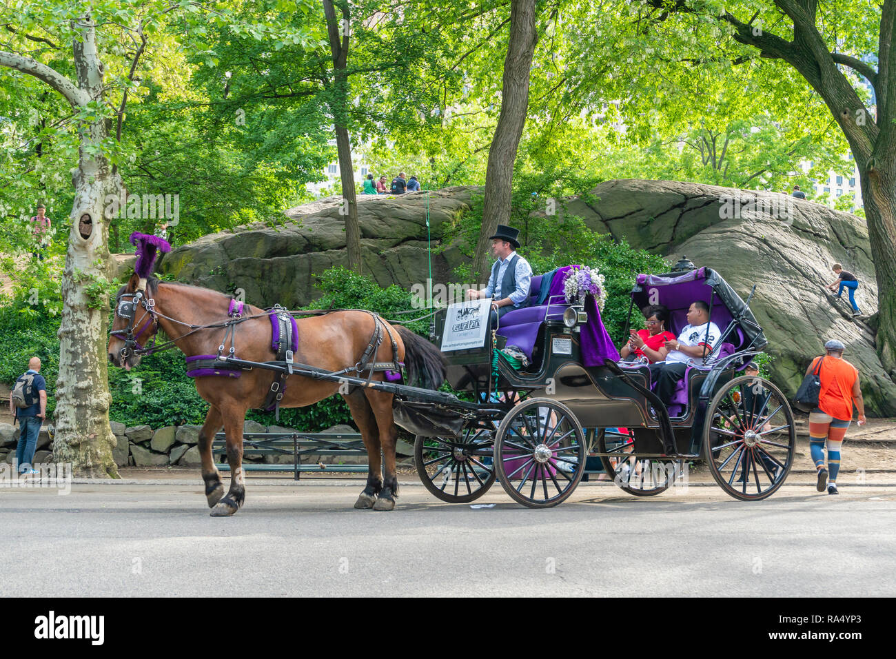 People on horse carriage ride in Central Park of New York City Stock Photo