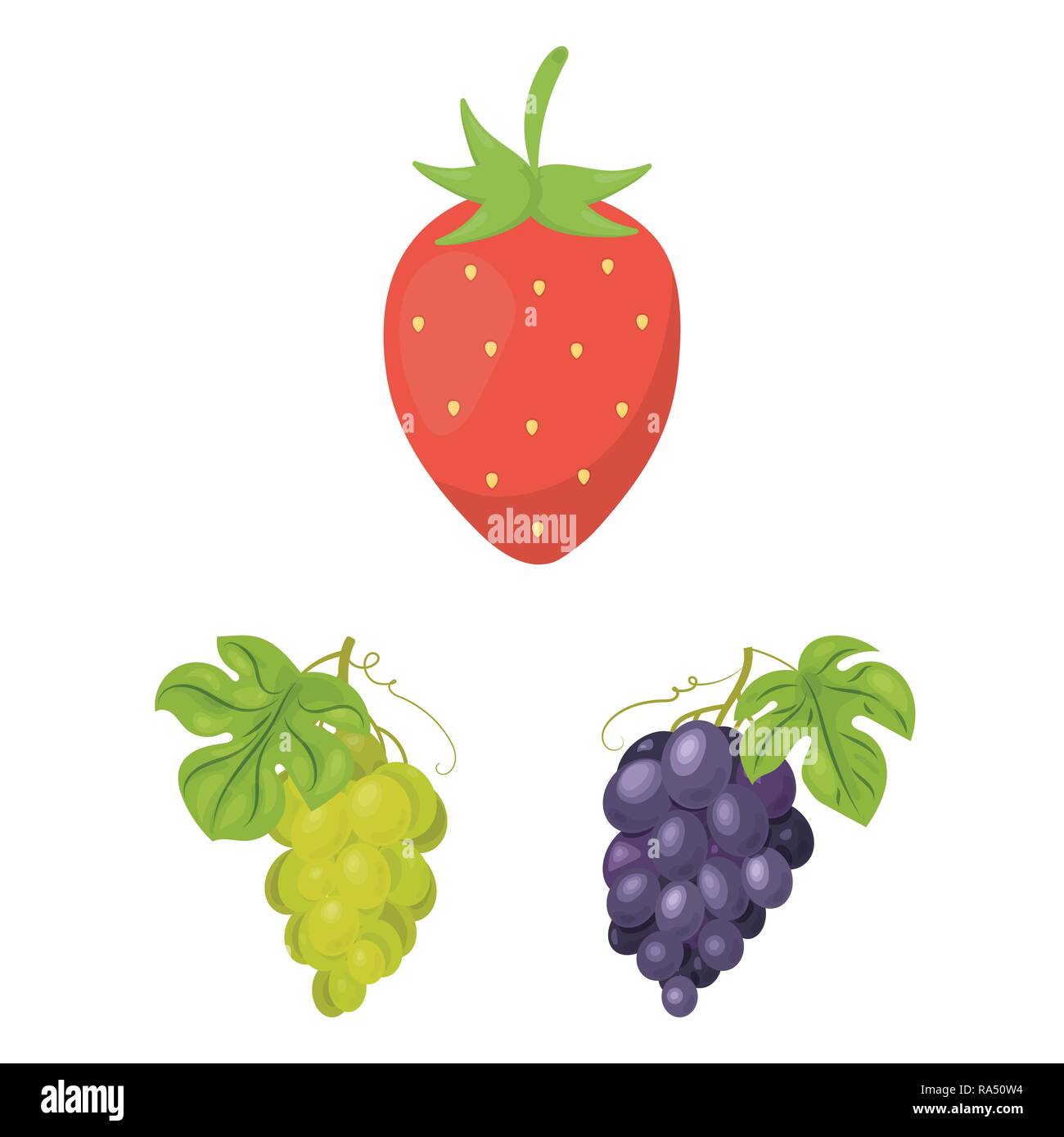 strawberry,food,honeysuckle,red,grape,branch,olive,berry,fruit,forest,redberry,fresh,cocktail,medicine,autumn,sweet,health,set,vector,icon,illustration,isolated,collection,design,element,graphic,sign,cartoon,color, Vector Vectors , Stock Vector