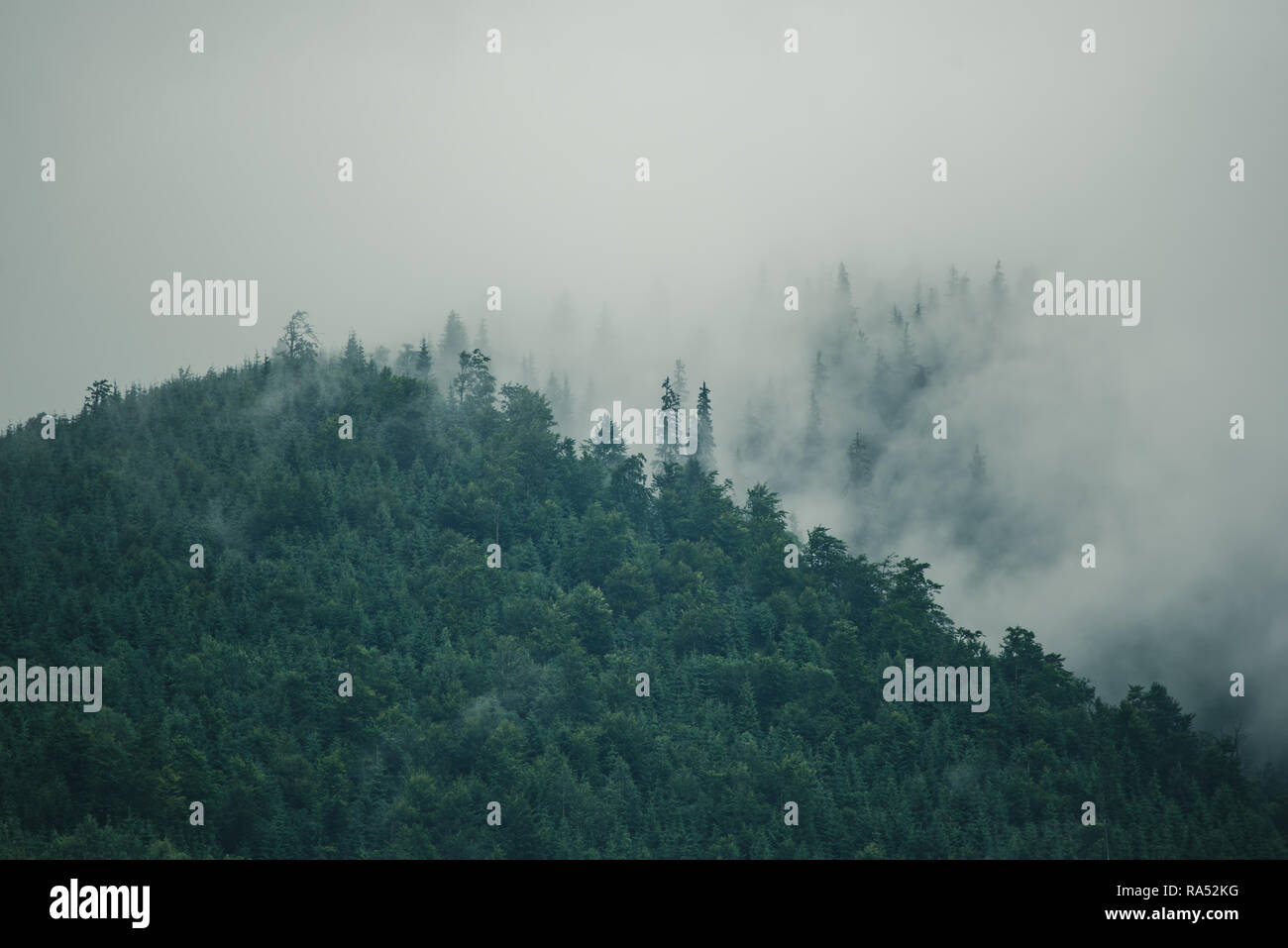 Misty mountain landscape Stock Photo - Alamy