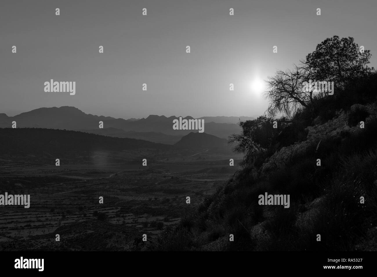 Scenic view of landscape from mountain against foggy sunset. Silhouettes of trees against idyllic lighting. Stock Photo