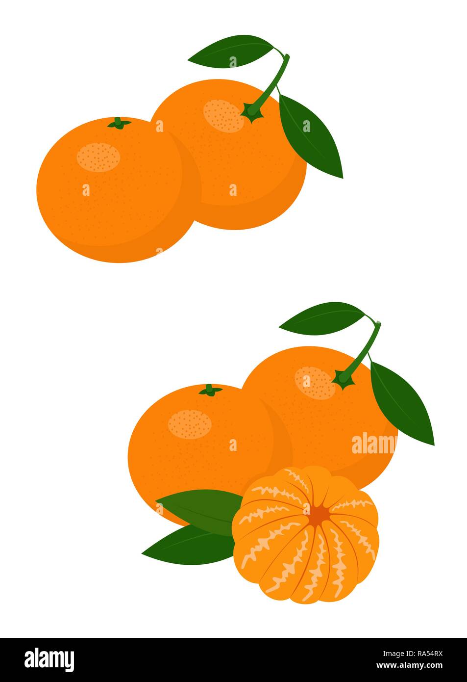 Mandarines, tangerine, clementine with leaves isolated on white background. Citrus fruit. Vector Illustration Stock Vector