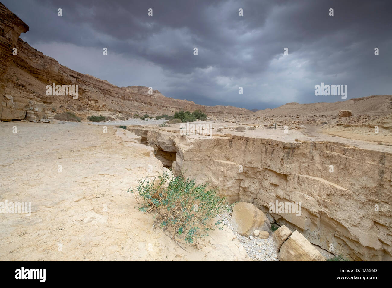 A deep dry river gorge cut in the dry sandstone by flood water. The only water that flows into the Dead Sea, Israel Stock Photo