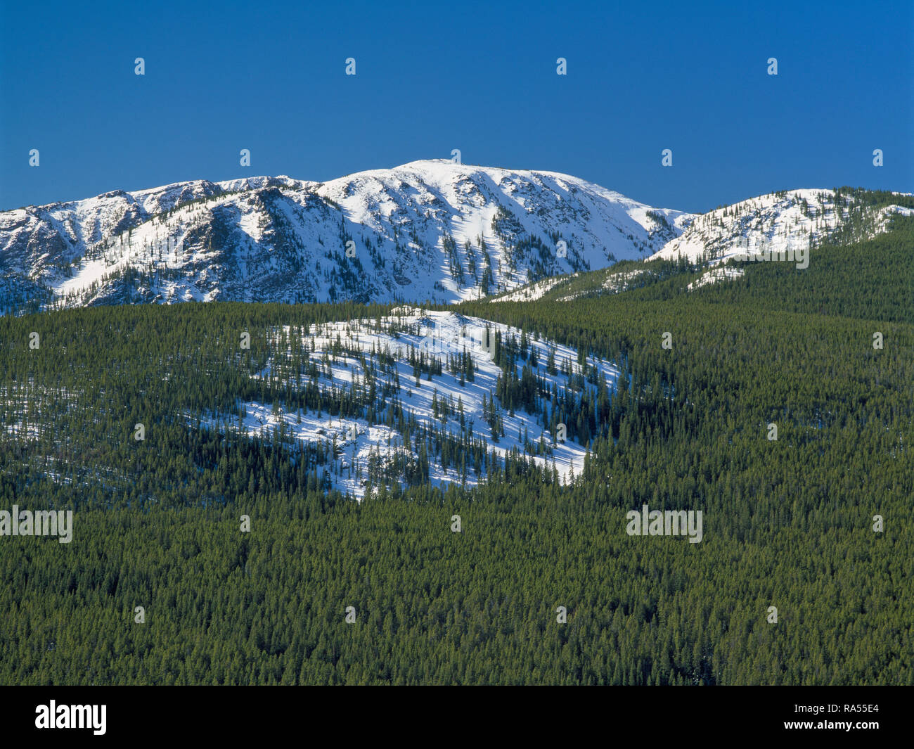 crow peak in the elkhorn mountains near boulder, montana Stock Photo