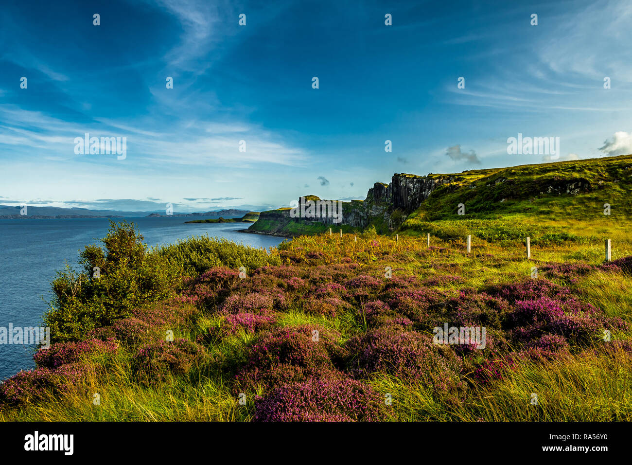 Coastal Landscape With Heather Near Kilt Rock On The Isle Of Skye In ...