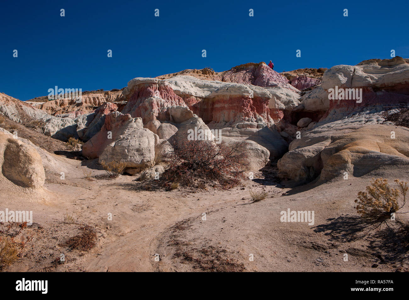 Paint Mines Interpretive Park Stock Photo Alamy