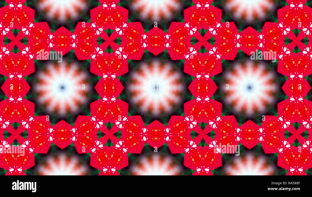 Abstract Colorful Symmetric Pattern Ornamental Decorative