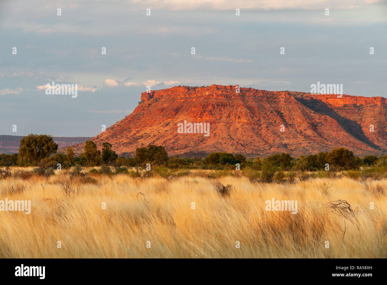 Fascinating George Gill Range in Central Australia. Stock Photo
