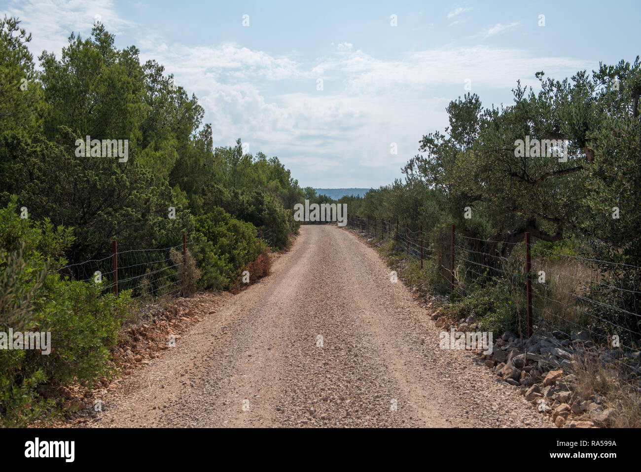 Empty macadam and dusty road trough wilderness and forest of Croatian island Brac. Road trough nature with green forest and blue sky during summer. Stock Photo