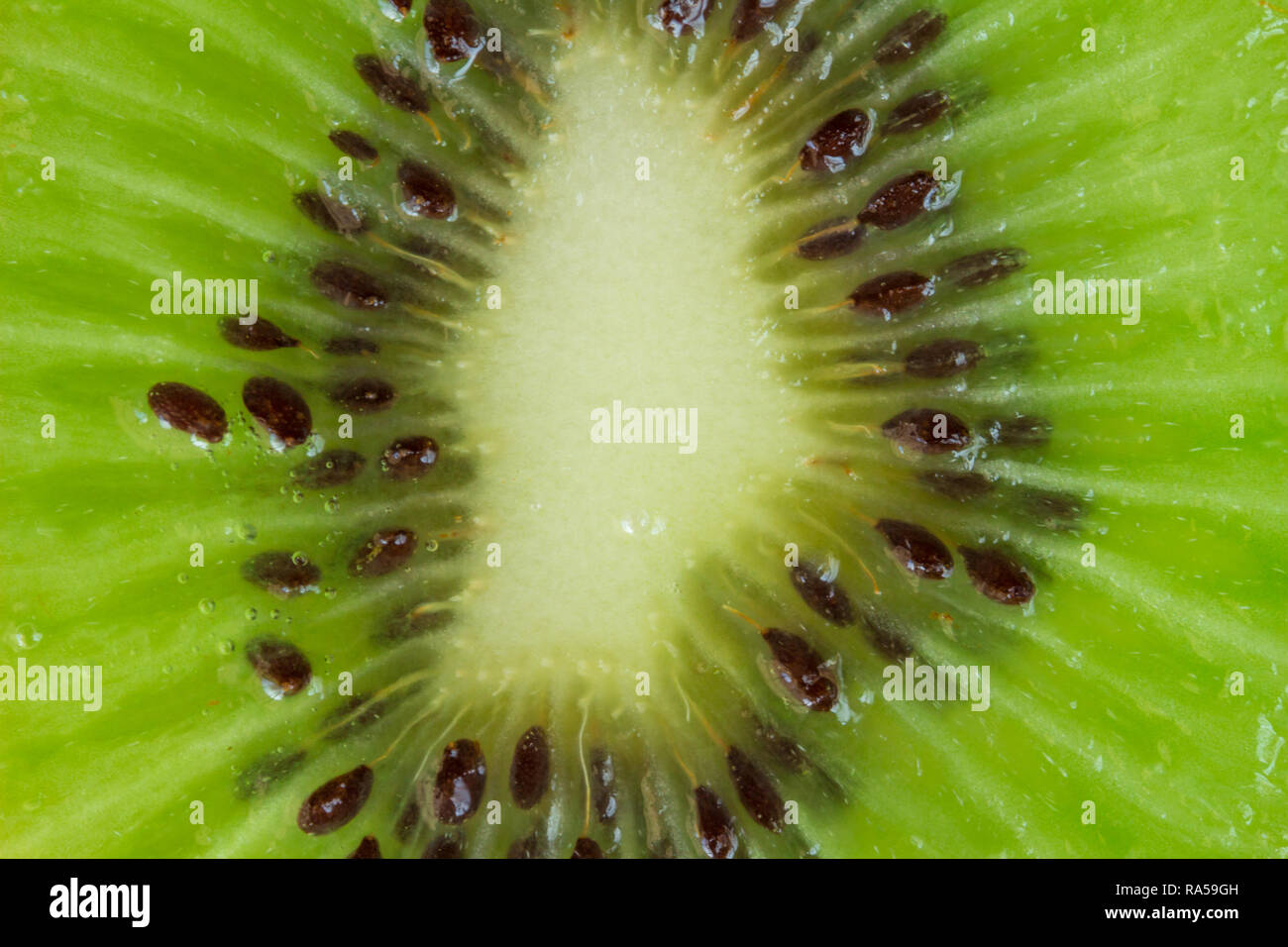 Kiwi fruit background - Slice of Kiwi fruit close up top view macro ...