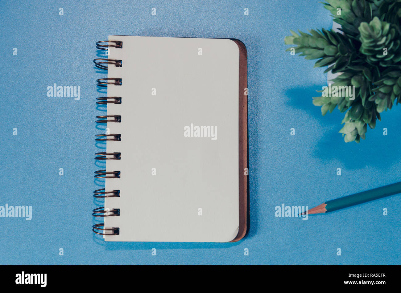 Blank notebook, pencil and tree in pots on a blue background Stock Photo