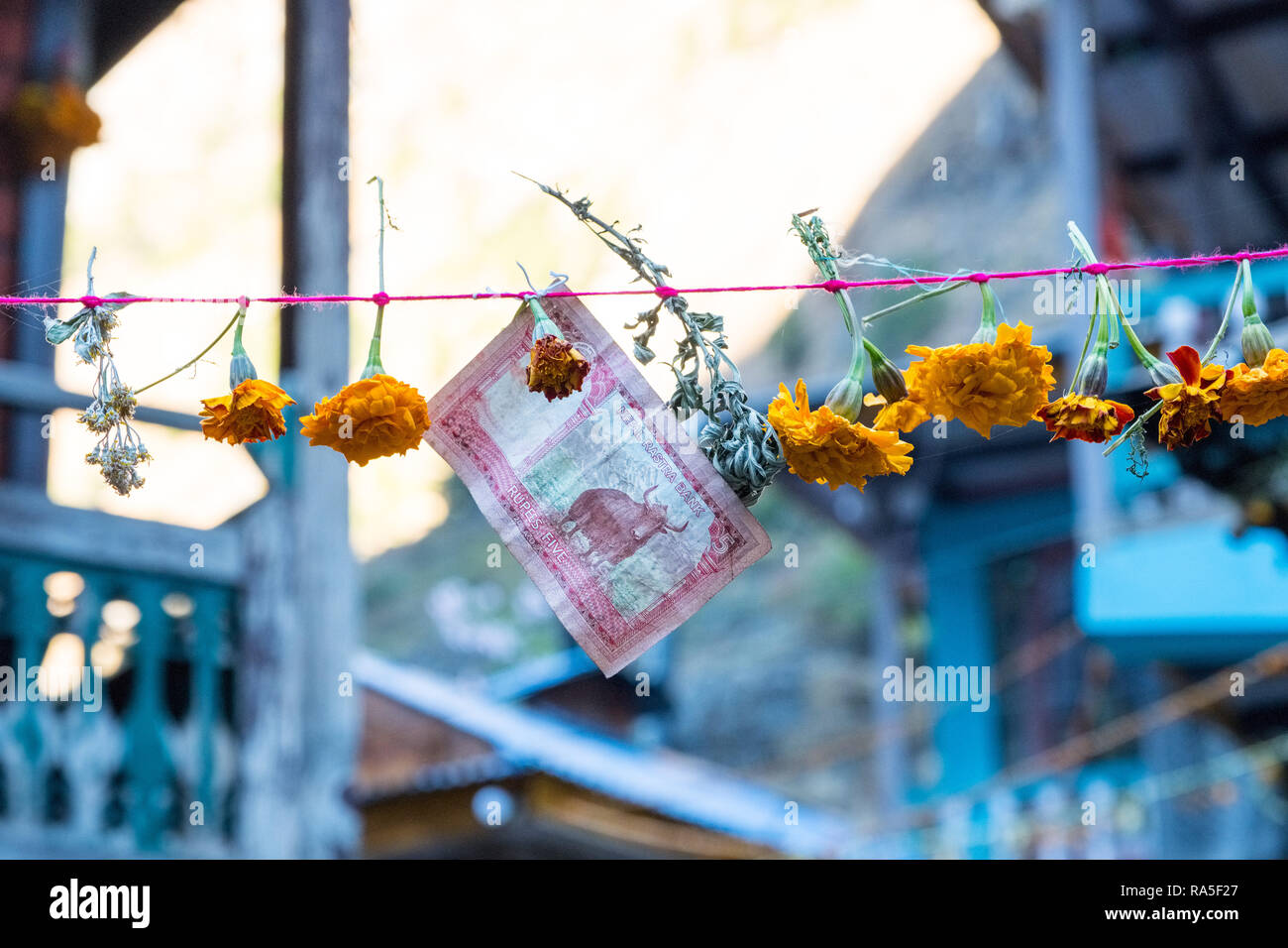 An offering of Marigold flowers and money tied to a line in a Nepalese village Stock Photo