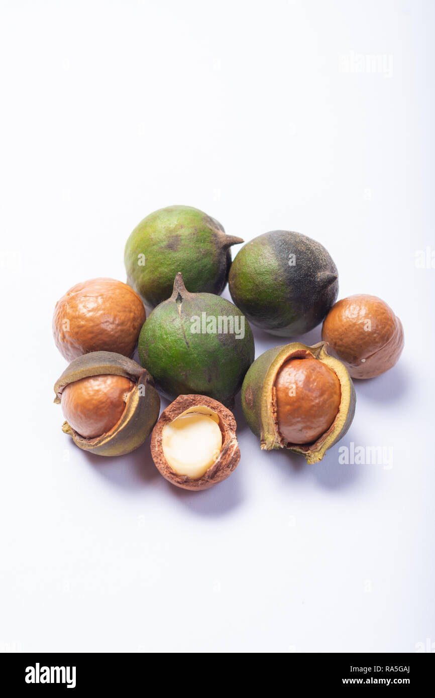 Fresh harvest of macadamia nuts, green macadamia nuts in shell and