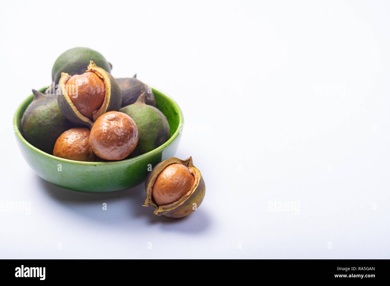 Fresh harvest of macadamia nuts, green macadamia nuts in shell close up