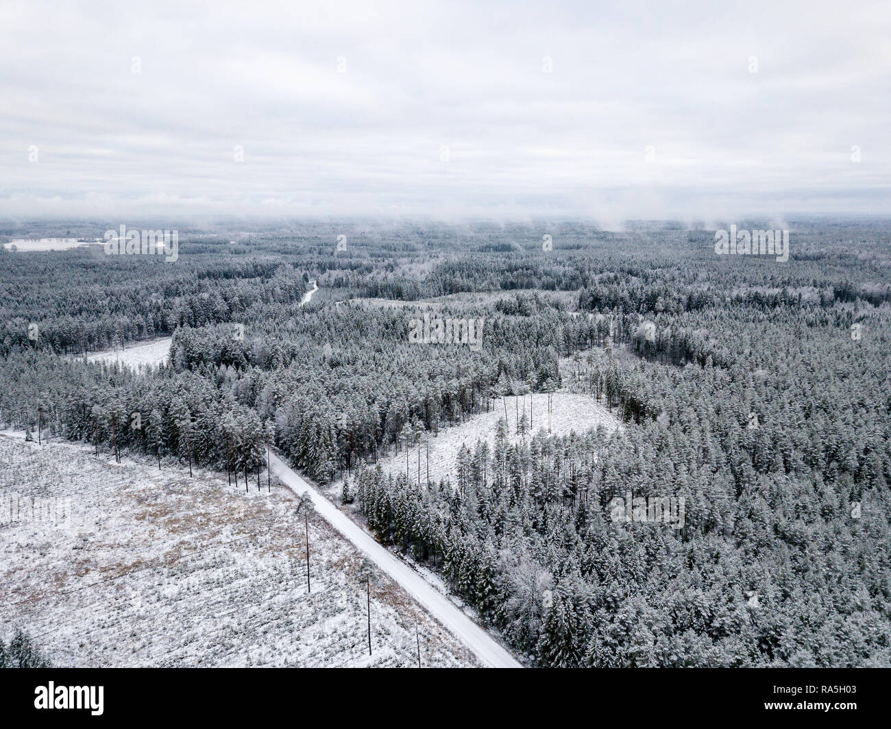 drone image. aerial view of forest area in winter with snowy trees ...