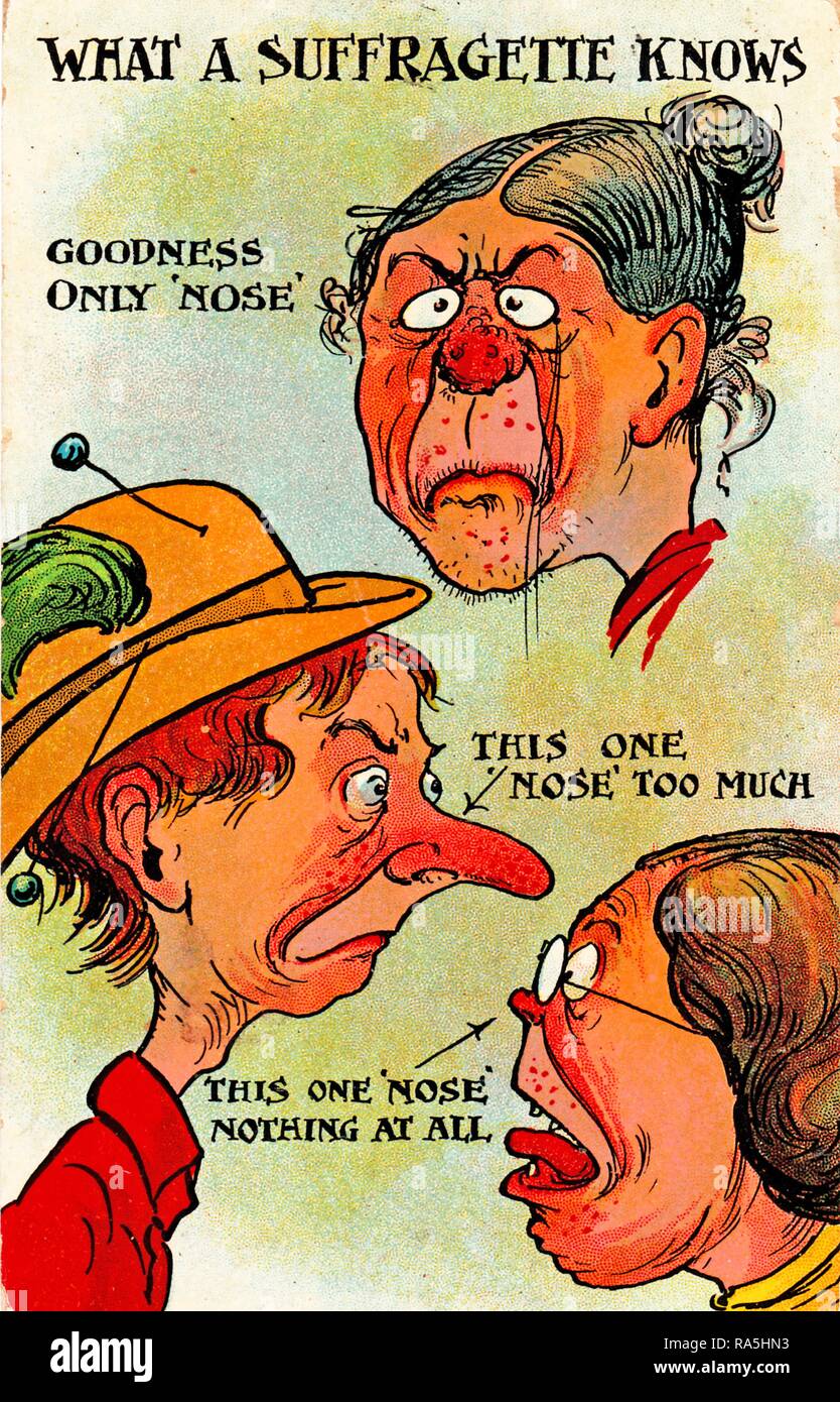 Anti-Suffrage, color postcard, titled 'What a Suffragette Knows, ' depicting three physically unattractive, mature women, and referencing their noses to create puns associated with their perceived idealistic follies; the woman at the bottom with a small nose 'Nose Nothing, ' the woman with a long nose at midground 'Nose Too Much, ' and 'Goodness Only Nose' what the woman at the top with a warty nose knows, published for the British market, 1900. () Stock Photo