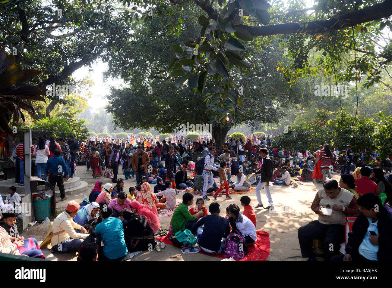 Kolkata, India. 01st Jan, 2019. People take food and rest during their visit to Alipore Zoo
