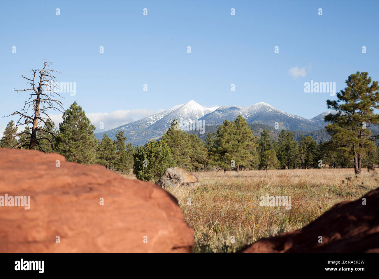 San Francisco Peaks mountain in Flagstaff, Arizona Stock Photo Alamy