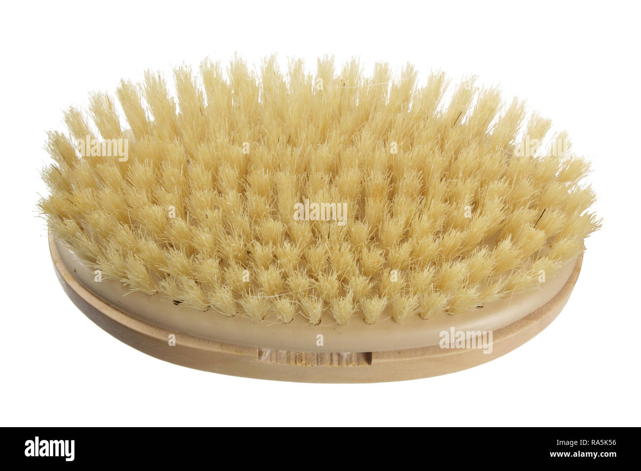 BodyBrush on White Background Stock Photo