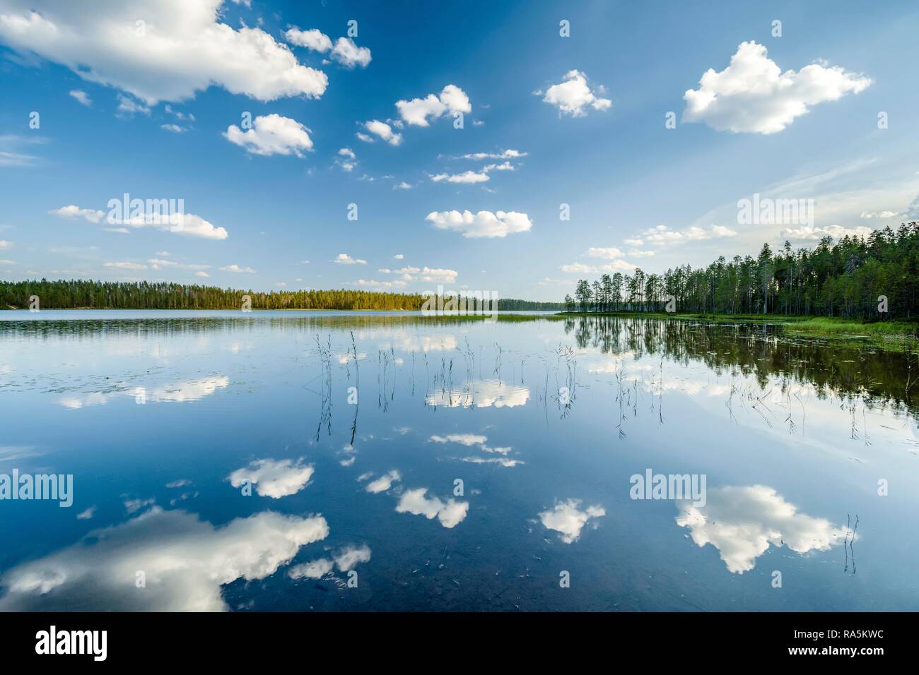 Clouds, forest, trees reflected in the lake, Hossa National Park, Ruhtinansa, Suomussalmi, Kainuu, Finland Stock Photo