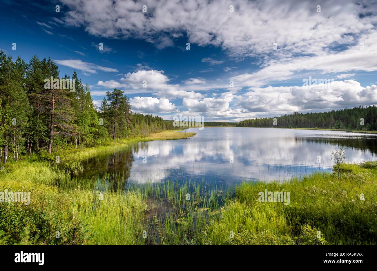 Sky and clouds reflected in lake, forest tundra, Lappi, Finland Stock Photo