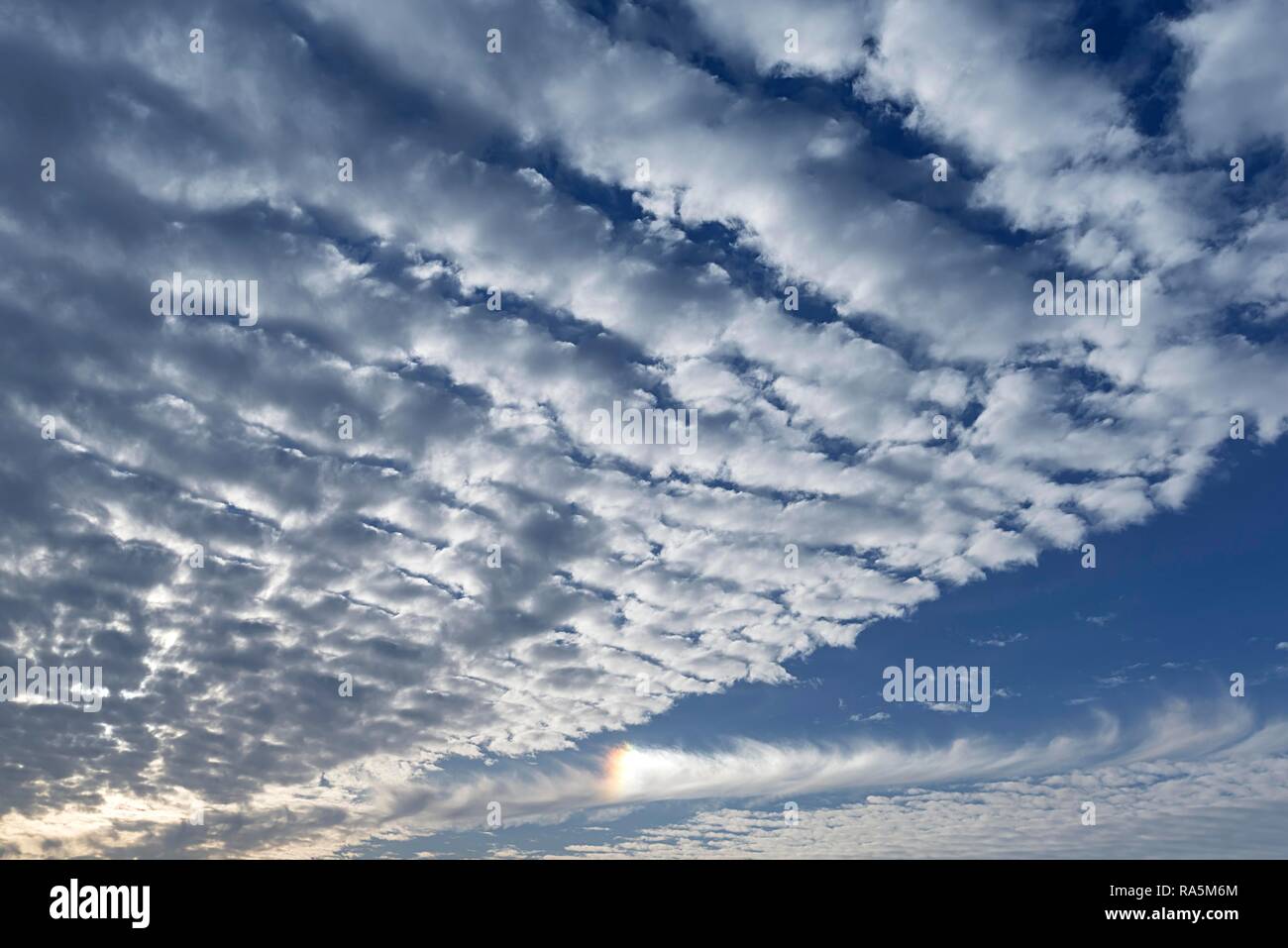 Altocumulus stratiformis perlucidus undulatus clouds with coloured solar reflection, Germany Stock Photo