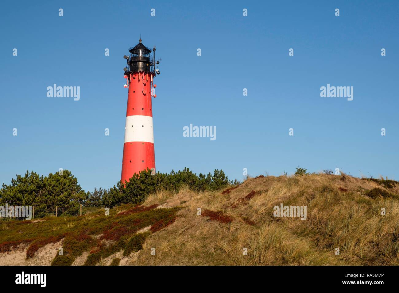 Lighthouse of Hörnum, Sylt, Nordfriesland, Schleswig-Holstein, Germany Stock Photo