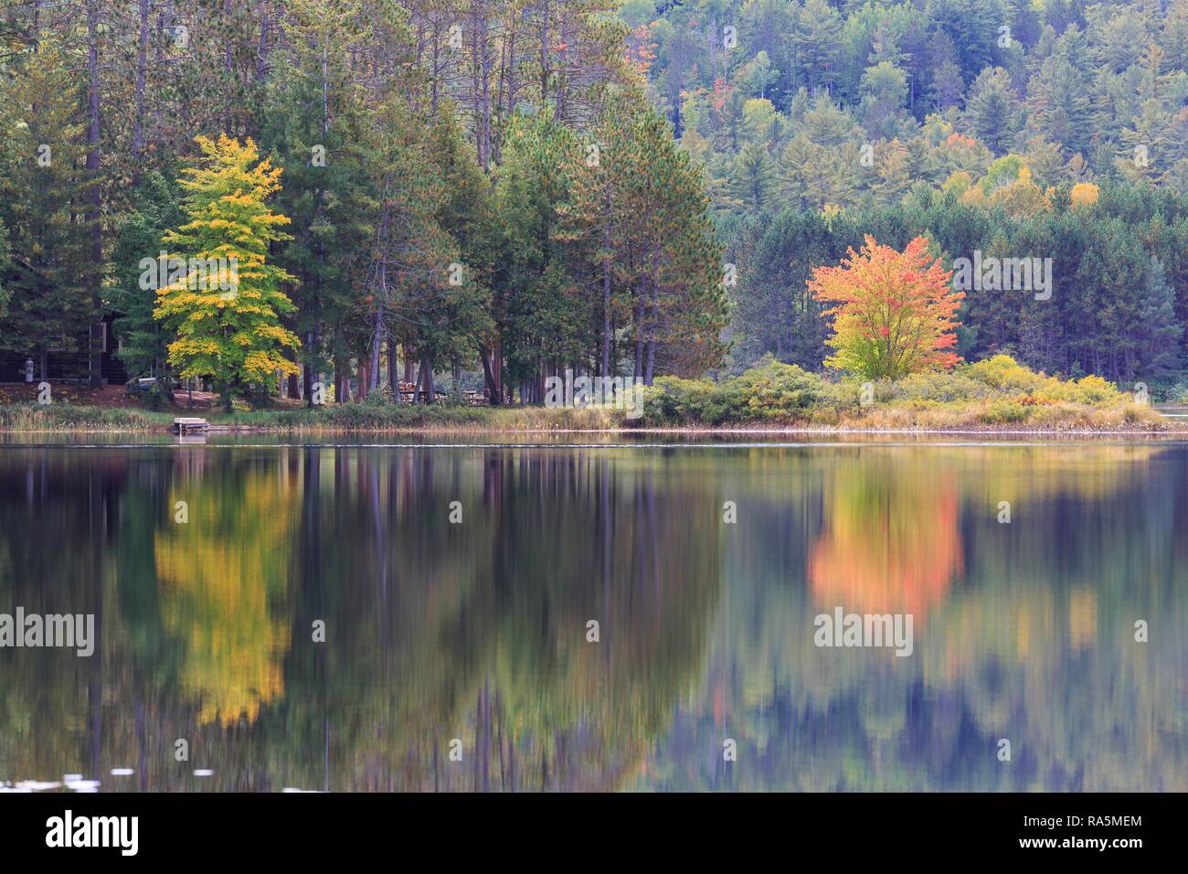 Water reflection of the trees in the lake, autumn colouring, Beaverdam Lake, Renfrew County, Ontario, Canada Stock Photo