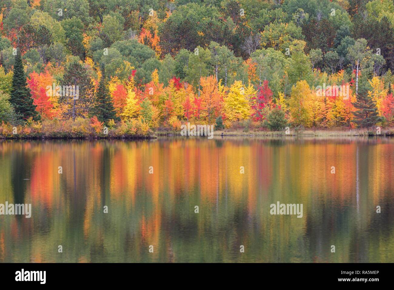 Madawaska River in autumn, autumn colouring, water reflection