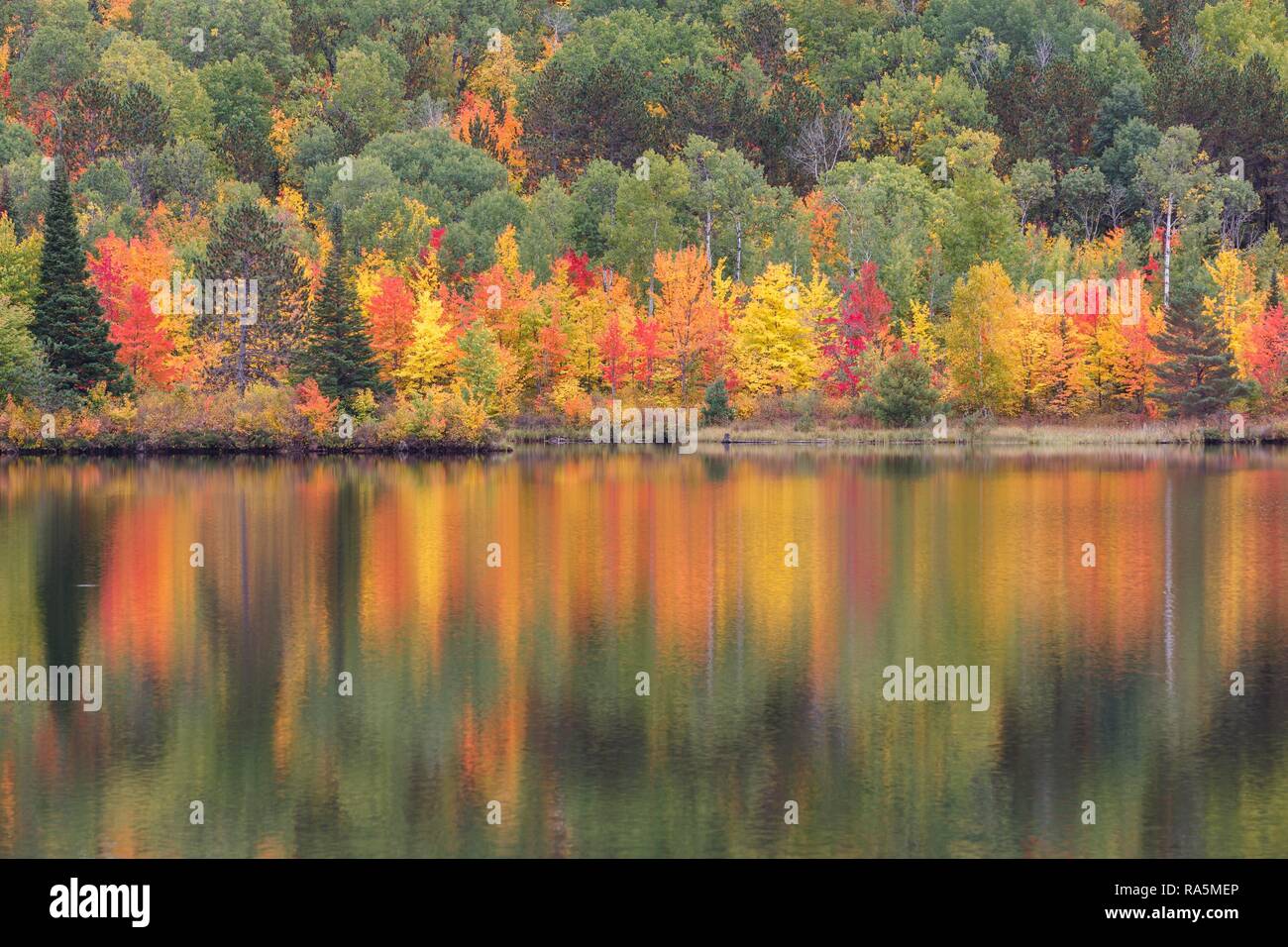 Madawaska River in autumn, autumn colouring, water reflection, Nipissing District, Ontario, Canada Stock Photo