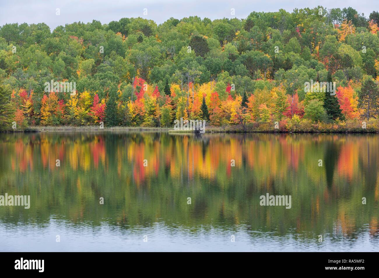 Madawaska River in autumn, autumn colouring, water reflection, Nipissing District, Ontario, Canada Stock Photo