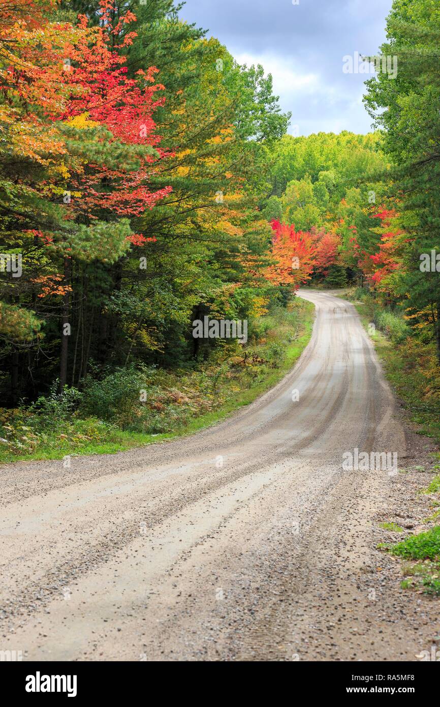 Road through Algonquin Provincial Park in Autumn, Indian Summer, Ontario, Canada Stock Photo