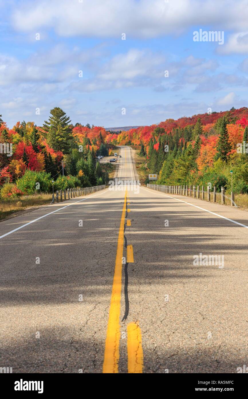 Road through autumn forest, Algonquin Provincial Park, Indian Summer, Ontario, Canada Stock Photo