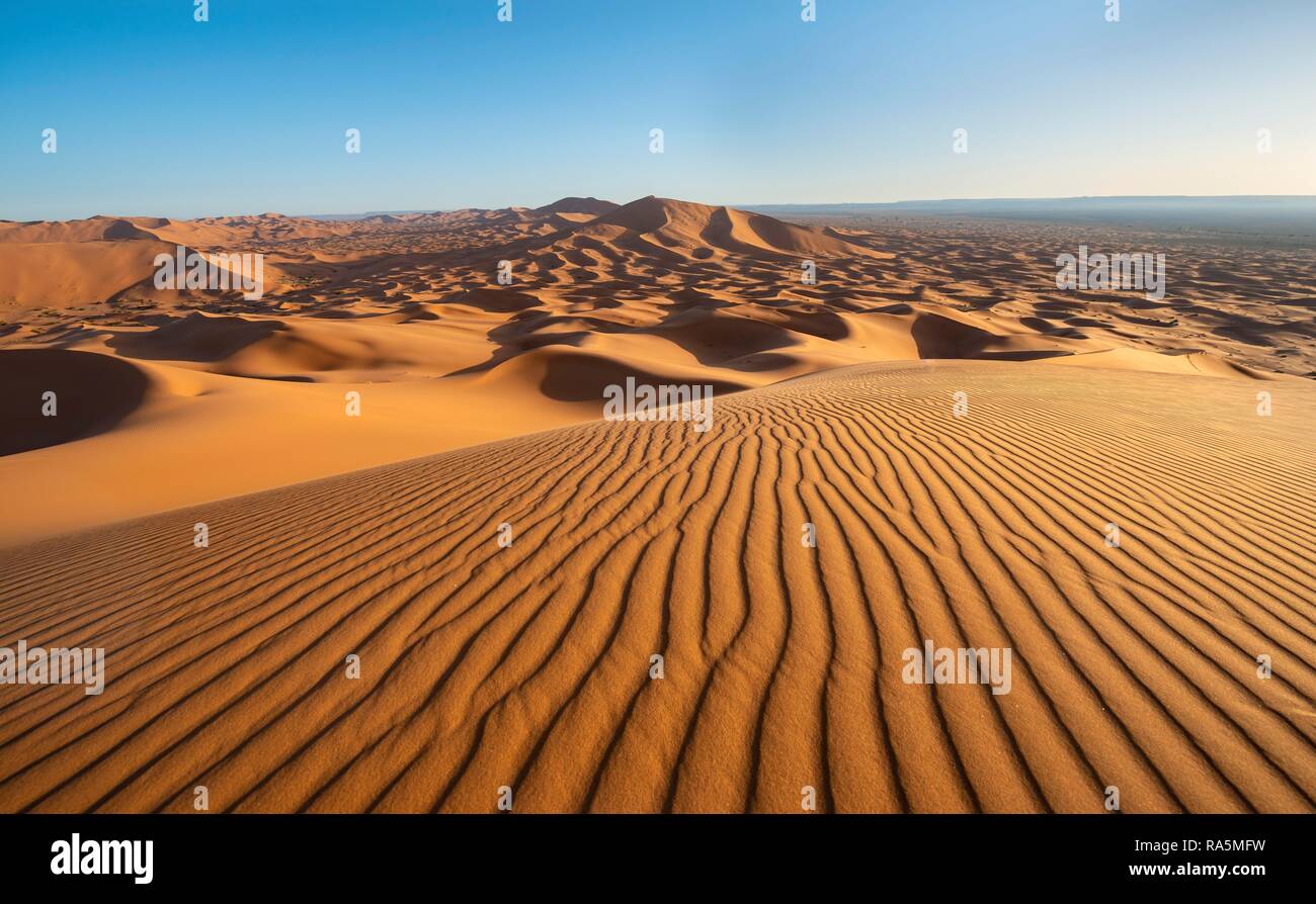Red sand dunes in the desert, dune landscape Erg Chebbi, Merzouga