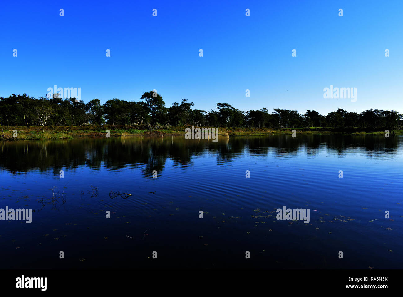 A truly amazing lake view with reflection of greenery and blue sky ...
