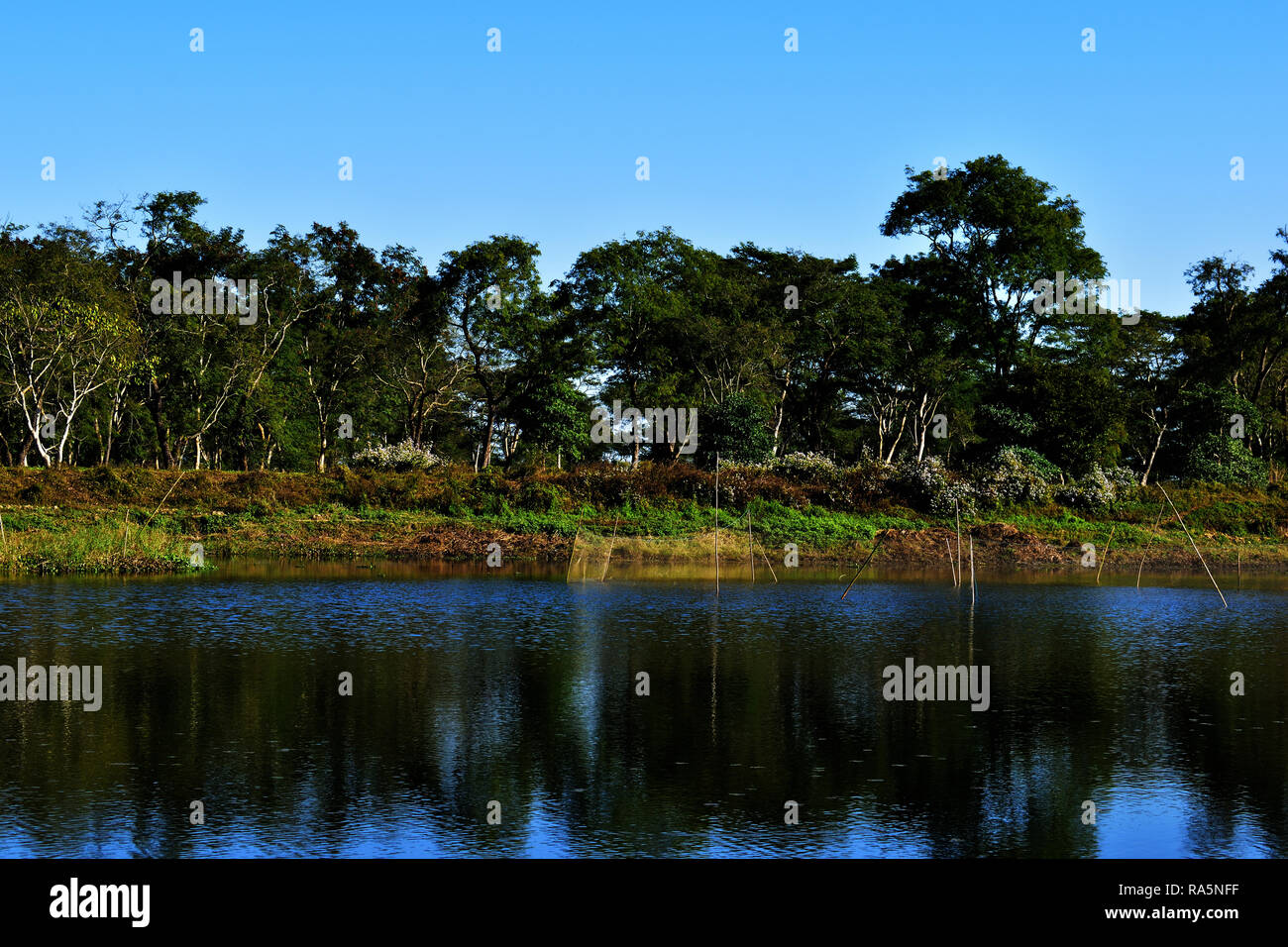 Sky and dawn reflection of daylight hi-res stock photography and images ...