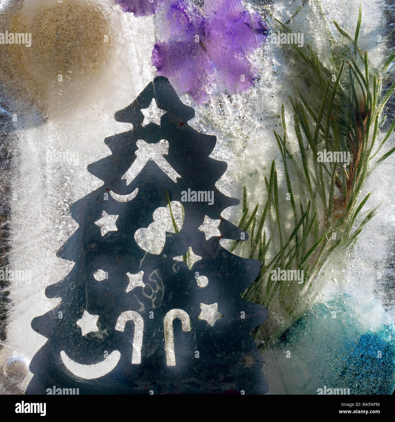 Background of   blue violet flower, blue and gold ball, blue Christmas fir  tree and twig of fir tree  in ice   cube with air bubbles.Happy new year 2 Stock Photo