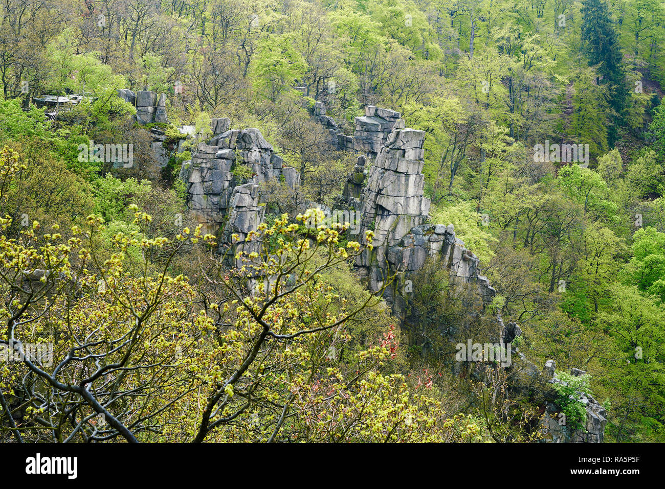 Rock formation at Thale in the Harz Stock Photo
