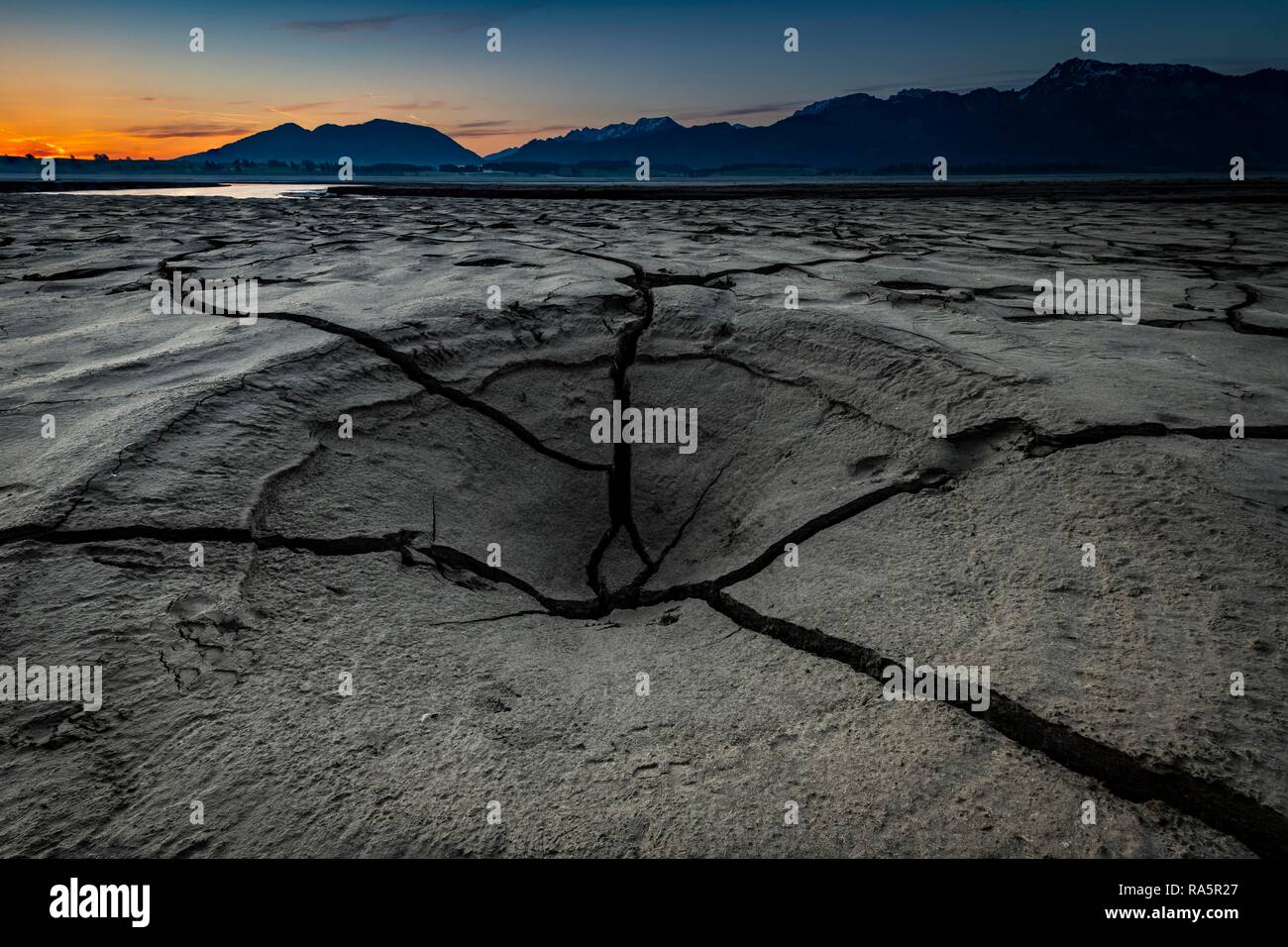 Cracked, dried out soil with small water area and Allgäu Alps in the background, Forggensee, Füssen, Ostallgäu, Bavaria Stock Photo