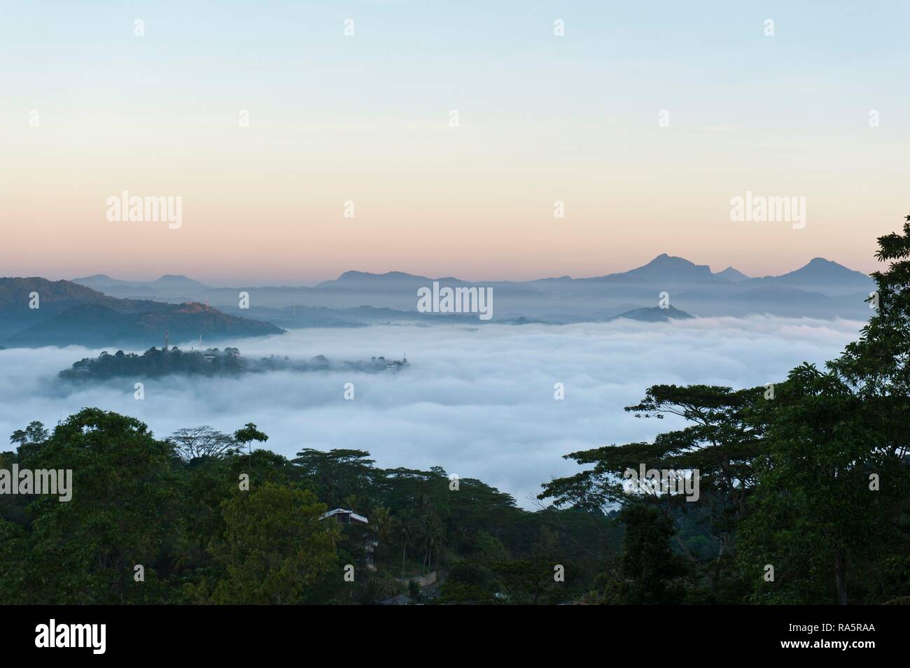 Dawn with fog, aurora, view over the central highlands, Kandy, Central Province, Sri Lanka Stock Photo