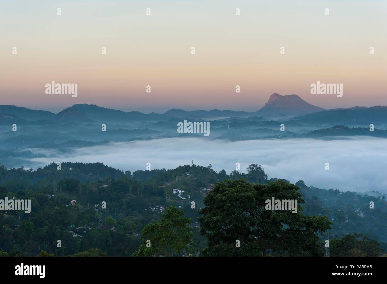 Dawn with fog, aurora, view over the central highlands, Kandy, Central Province, Sri Lanka Stock Photo