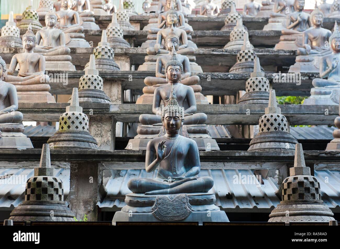 Many Buddha statues with different mudras in the temple, Gangaramaya Temple, Colombo, Sri Lanka Stock Photo
